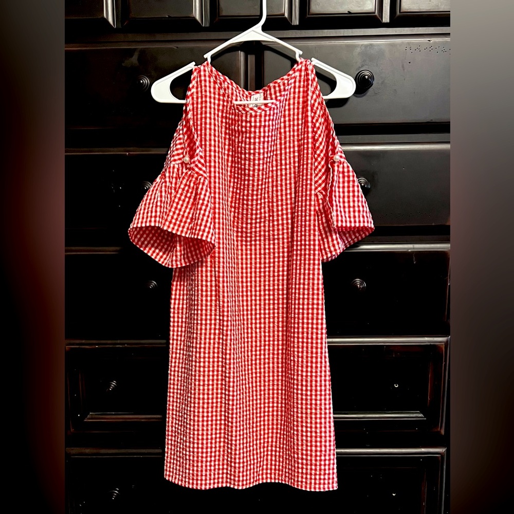 Red Gingham Shift Dress